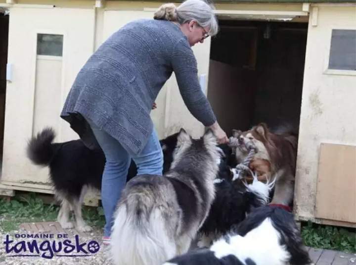 Installations de l'époque et nos Lapinkoira, Bordeaux