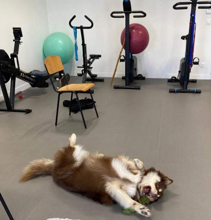 Enclos pour animaux, Bordeaux