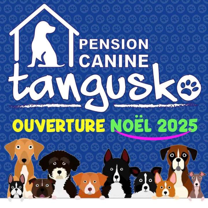 NOTRE PENSION CANINE