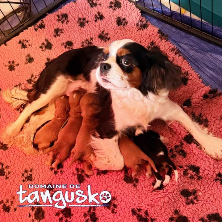 Actu Replay et ses bebes