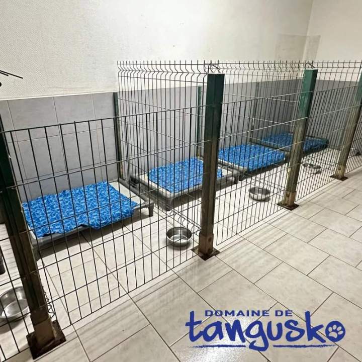 Box de nuit des CKC Bordeaux