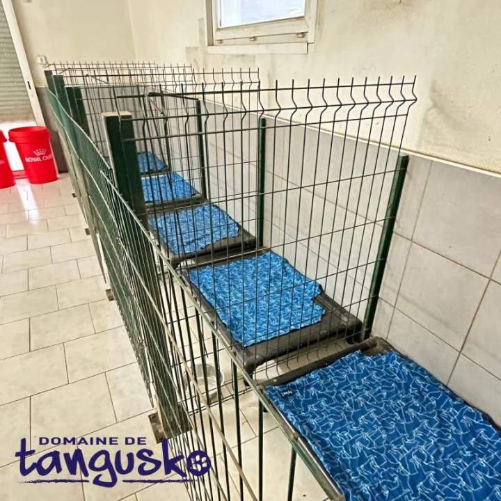 Box de nuit des CKC, Bordeaux