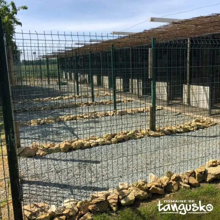 Box de nuit des Finnois, Bordeaux