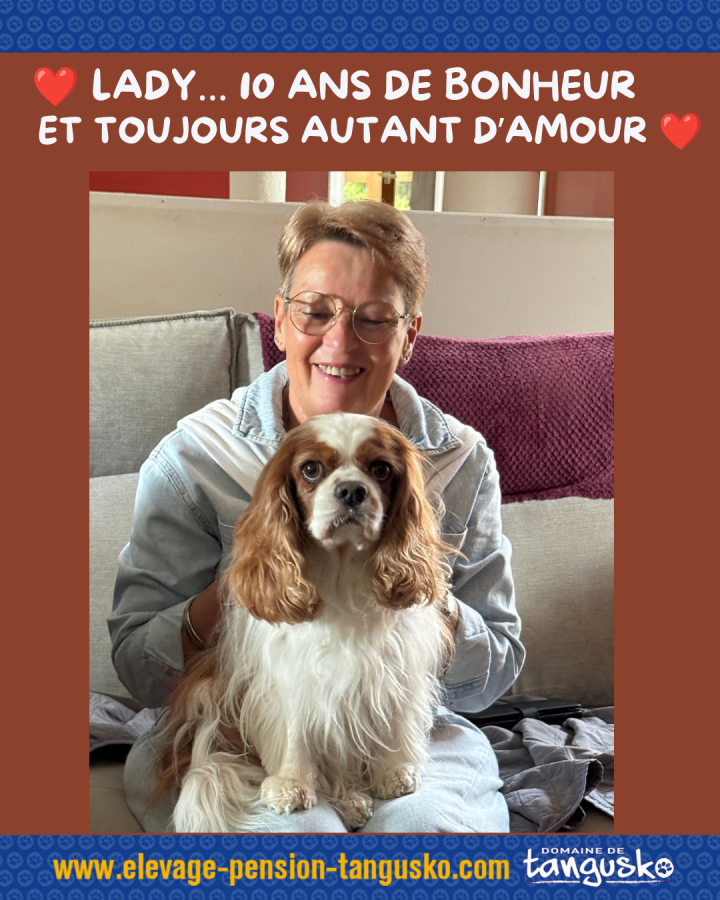 CKC LADY fille Iljah et Joker