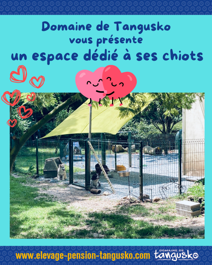 ESPACE DEDIÉ AUX CHIOTS