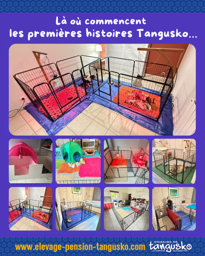 ESPACES NAISSANCES CHIOTS