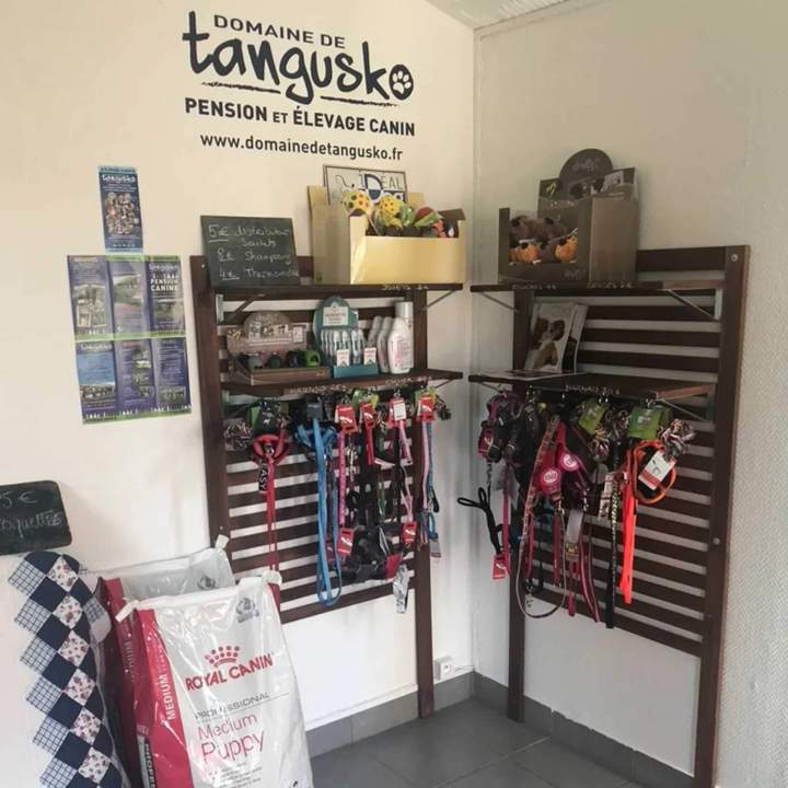 Vente d'accessoires pour chien Bordeaux