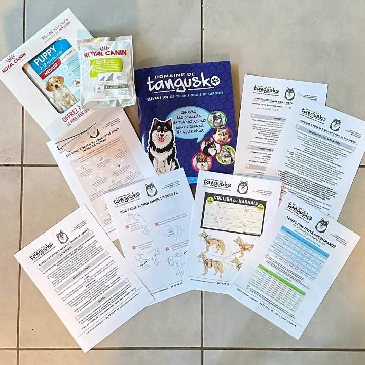 Boutique pour chien Bordeaux