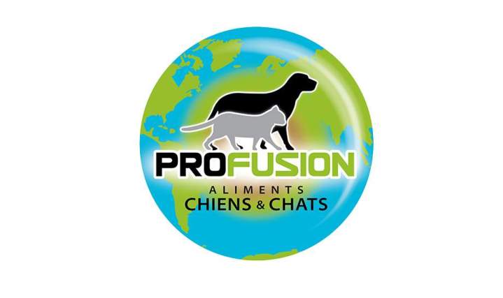 Logo   Alexiane Bossavit 61f