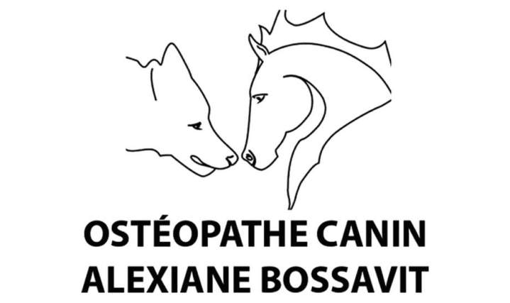 Logo   Dr Pascal Marchand bc8e xxl