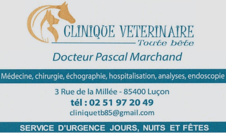 Logo   Dr Pascal Marchand