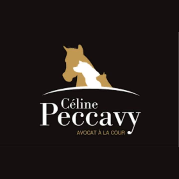 logo celine peccavy