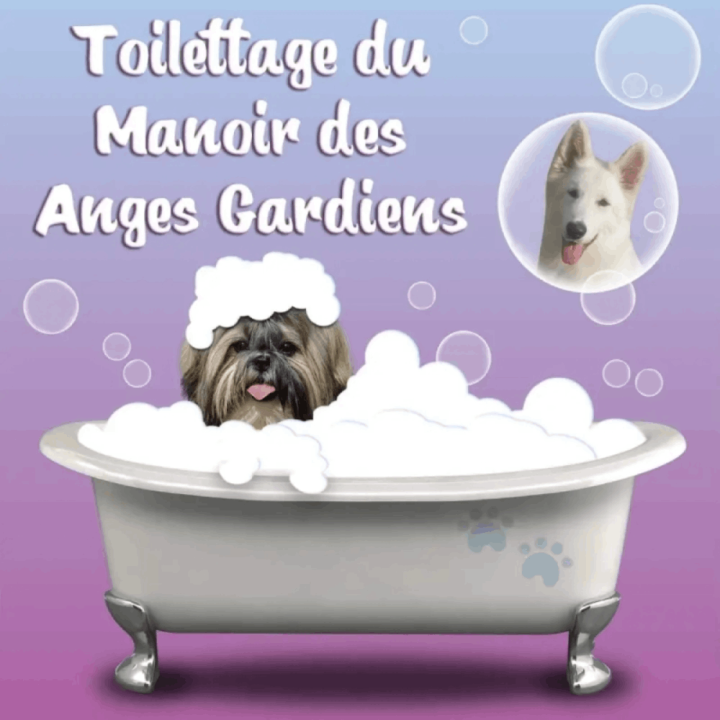 Logo   Toilettage du Manoir des Anges Gardiens