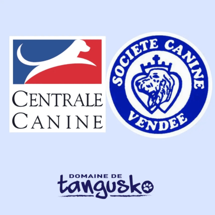 Logo Centrale Canine  Vendée