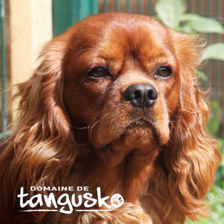 MAX de la Maison du Riez