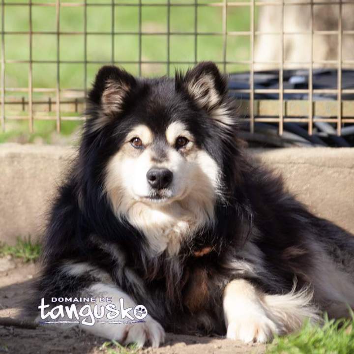 NOMI du Domaine de Tangusko
