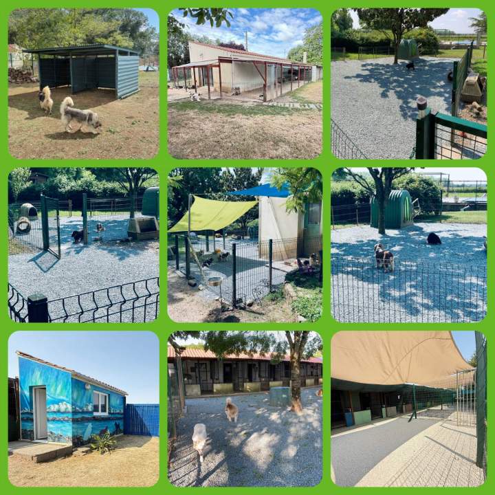 NOS ESPACES CANINS