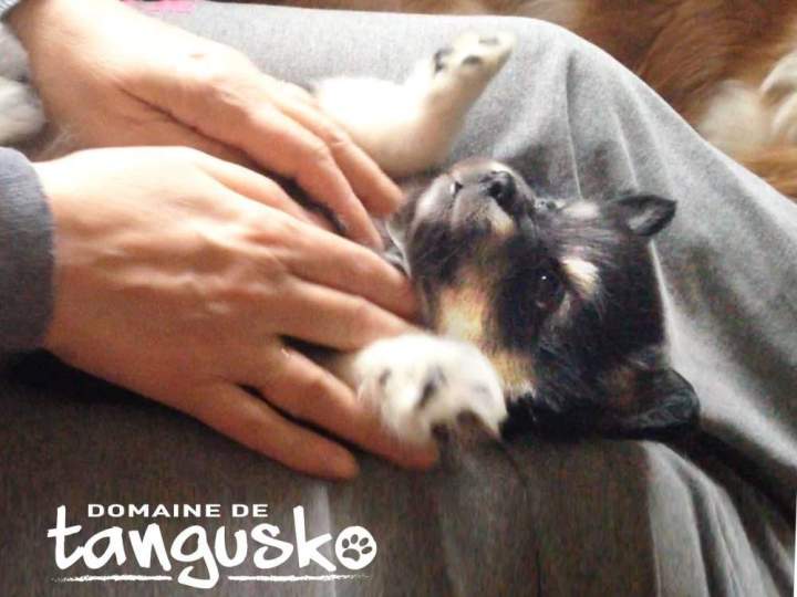 Nos séances de massage