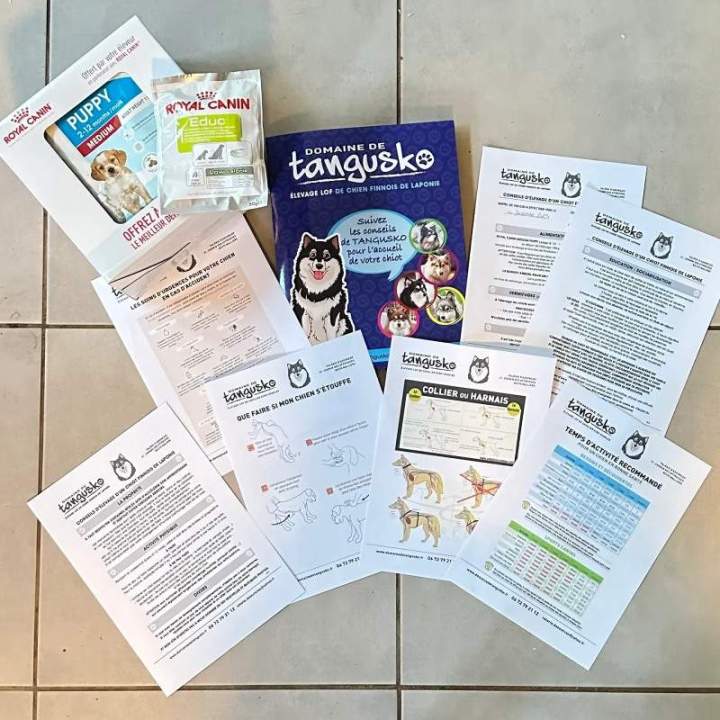 Notre Kit Chiot Bordeaux