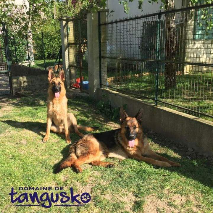 Notre Team Security   Marvel et Oxana, Bordeaux