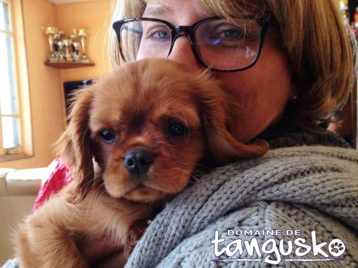 Notre belle CKC, Jolie Lady