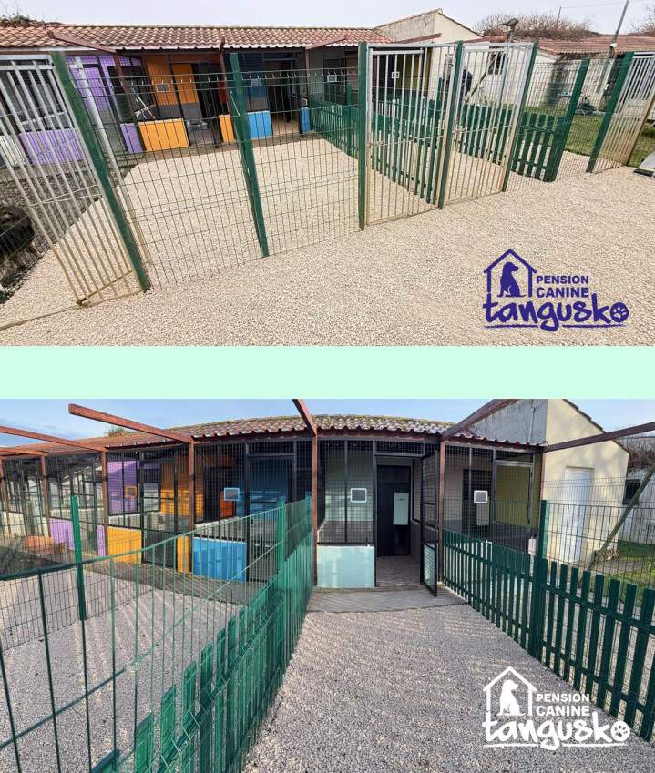 Garde de chien Bordeaux