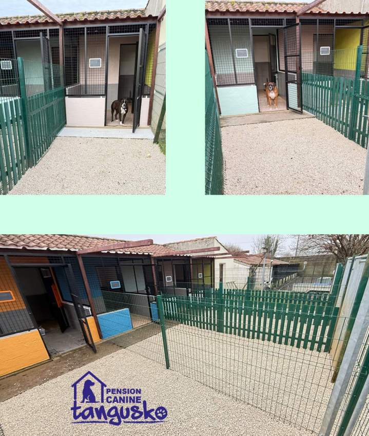 Pension canine Bordeaux