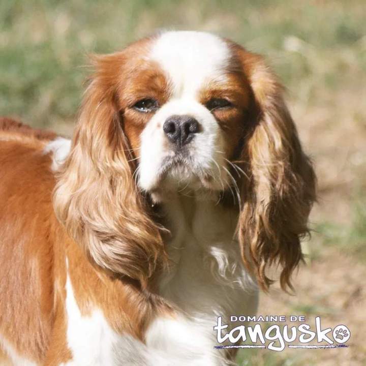 PEPPER du Clos de Gastofer