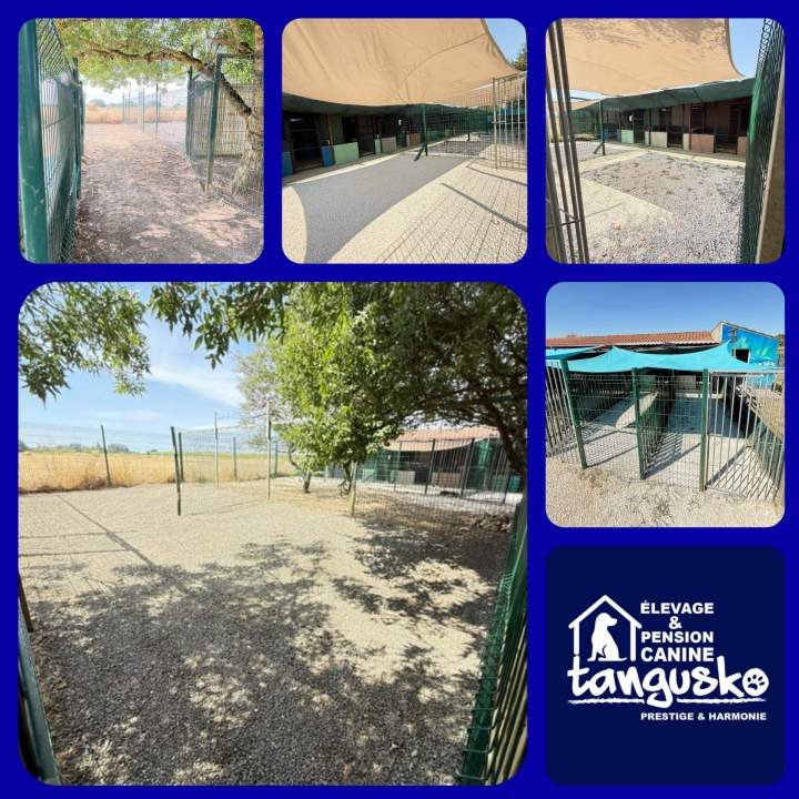 Pension Tangusko structures