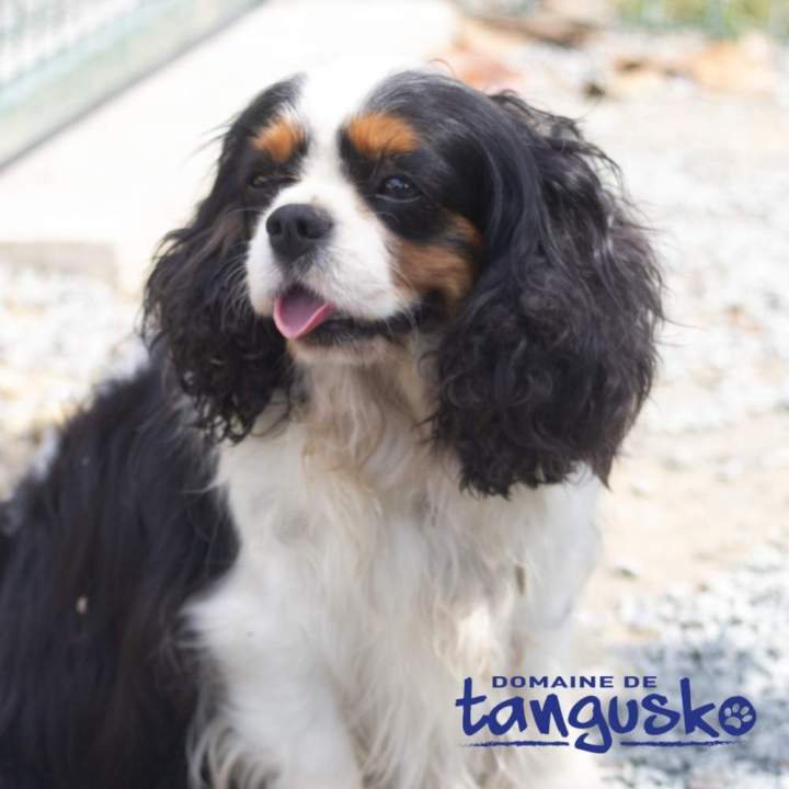 RAPSODY du Clos de Gastofer