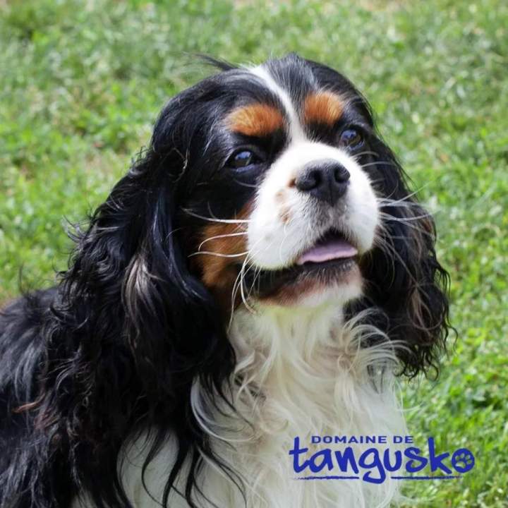 RUSTY du Clos de Gastofer