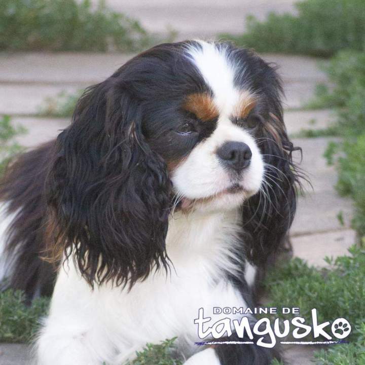 TARA du Clos de Gastofer