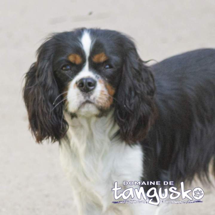 TEQUILA du Clos de Gastofer