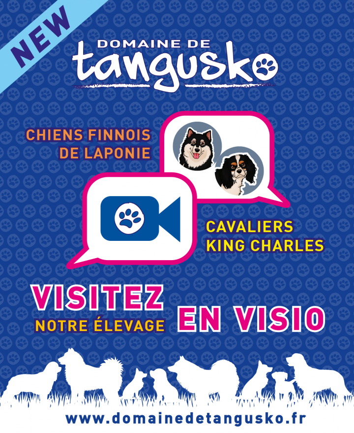 Tangusko visite FaceTime