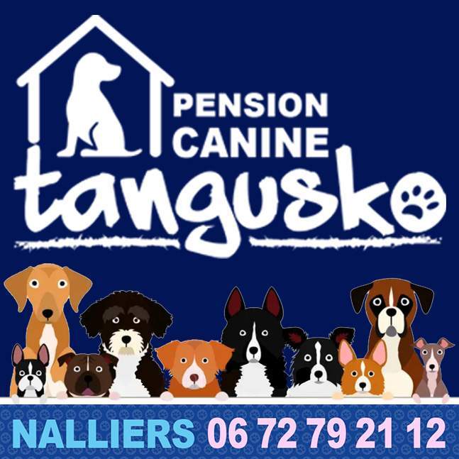 Teaser TANGUSKO PENSION PREZ