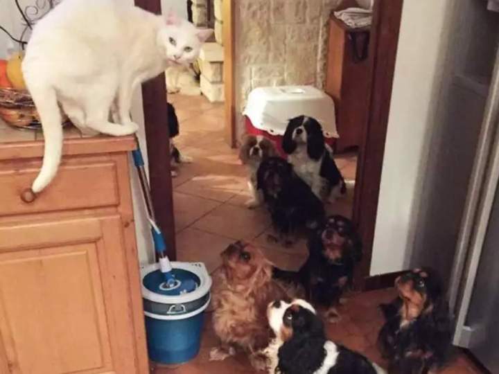 USKO notre premier Finnois 6da9 xxl