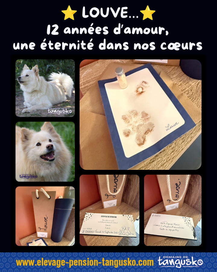 deuil LOUVE notre etoile 2