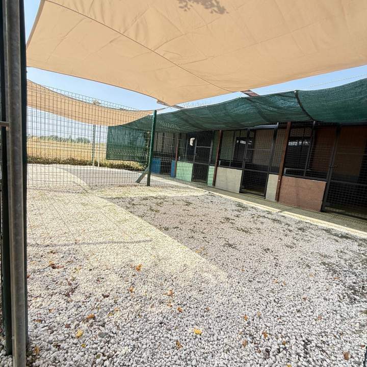 pension vue 3