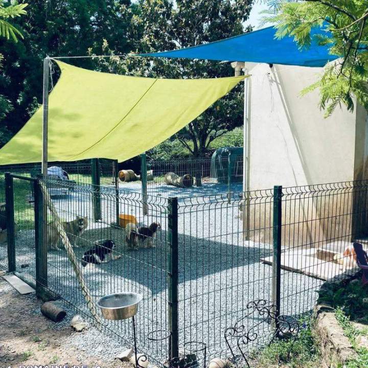 Pension canine, Limoges