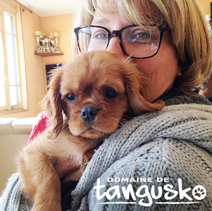 Élevage de chiot, Bordeaux