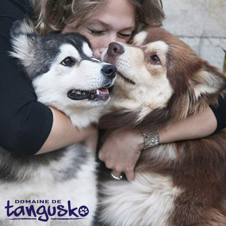 Élevage de chiots, Bordeaux